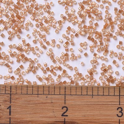 MIYUKI Delica Beads SEED-X0054-DB1864-1