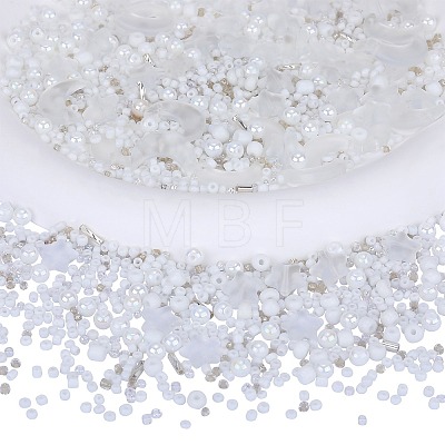 2 bag Glass & Seed Beads GLAA-SZ0001-93-1