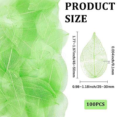 100Pcs Dried Flower Leaf Craft Supplies AJEW-CP0009-41A-1