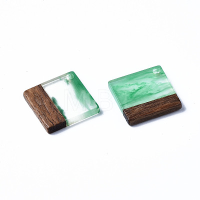 Transparent Resin & Walnut Wood Pendants RESI-T035-31A-1