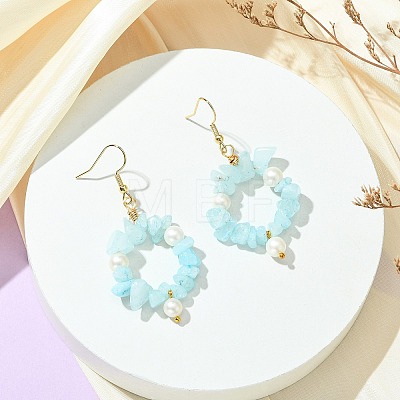Natural Gemstone Beaded Dangle Earrings EJEW-JE07215-1