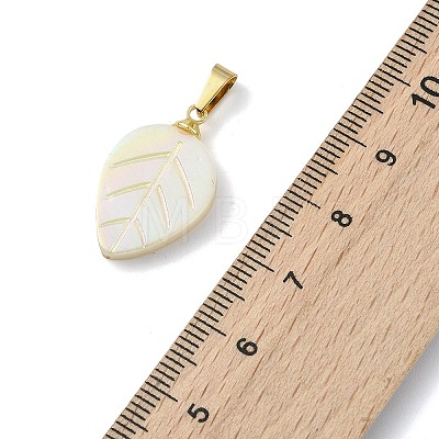 Natural Freshwater Shell Carved Pendants PALLOY-JF05288-01-1