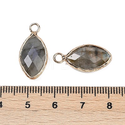 Natural Labradorite Faceted Pendants G-G193-01G-10-1