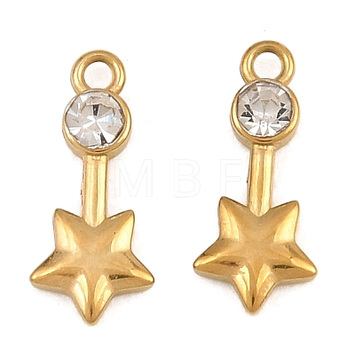 304 Stainless Steel Charms RB-CBABFDA-10G-1