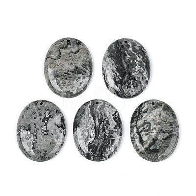 Natural Map Stone Pendants G-N361-04C-1