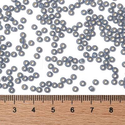 TOHO Round Seed Beads SEED-XTR08-PF2102-1