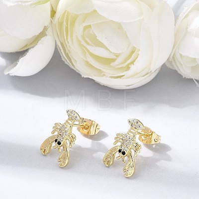 Brass Micro Pave Cubic Zirconia Stud Earrings KK-CBA5B62-06G-1
