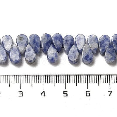 Natural Blue Spot Jasper Beads Strands G-B064-B59-1