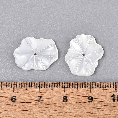Natural White Shell Carved Leaf Beads BSHE-T014-31A-1