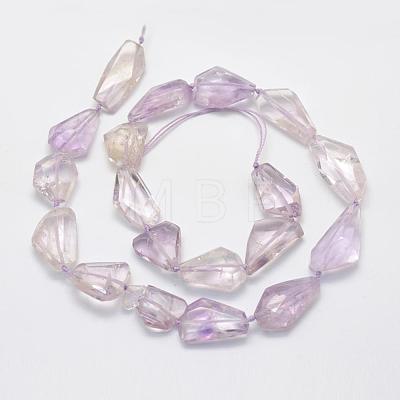 Natural Amethyst Beads Strands G-L464-10-1