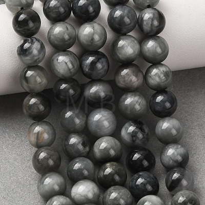 Natural Hawk's Eye Beads Strands G-L478-03-8mm-01-1