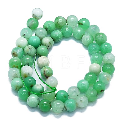 Natural Chrysoprase Beads Strands G-K245-A12-05-1