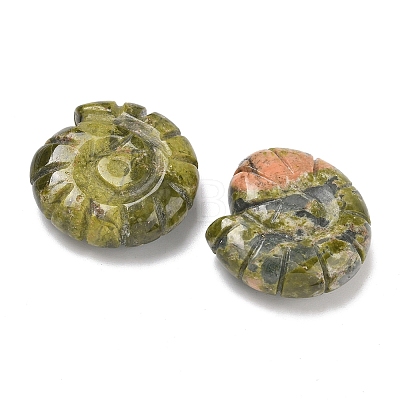 Natural Unakite Conch Display Decorations DJEW-D303-01G-1