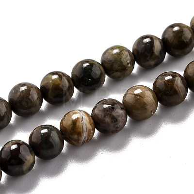 Round Natural Ocean Agate/Ocean Jasper Beads Strands G-L574-02A-1