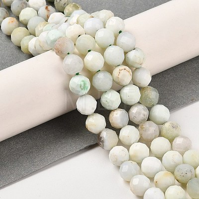 Natural Green Opal Beads Strands G-Z035-A02-04A-1