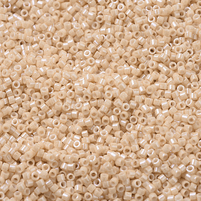 MIYUKI Delica Beads SEED-JP0008-DB0205-1