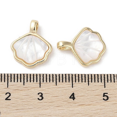 Brass Pave Shell Charms KK-G491-38G-1