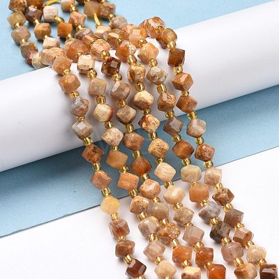 Natural Fossil Coral Beads Strands G-P463-48-1