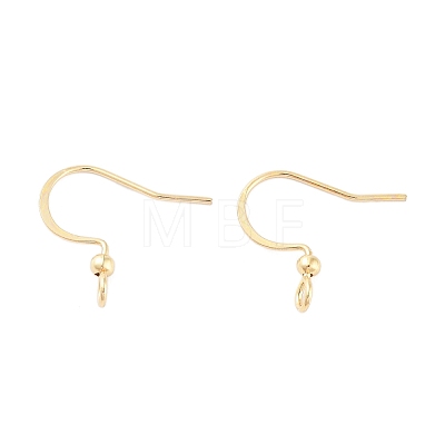 316 Surgical Stainless Steel Earring Hooks LS-X-STAS-K274-10G-1