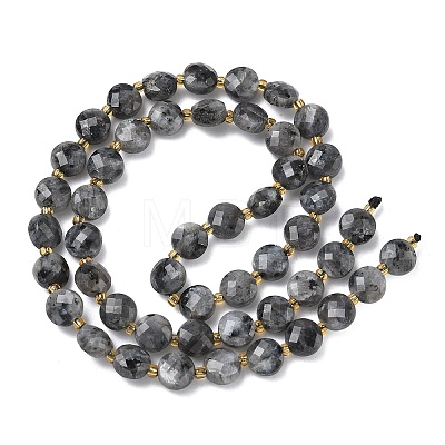 Natural Larvikite Beads Strands G-K389-B85-01-1