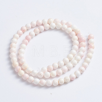 Natural Pink Shell Beads Strands SSHEL-L016-18A-1