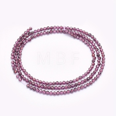Natural Garnet Beads Strands G-O166-13A-2mm-1