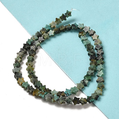 Natural African Turquoise(Jasper) Beads Strands G-G085-B06-02-1