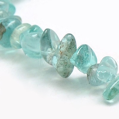 Natural Apatite Chip Beads Strands X-G-L154-23-1