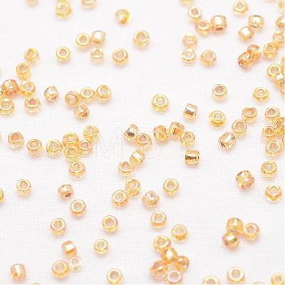 6/0 Round Glass Seed Beads SEED-J017-F6-662B-1