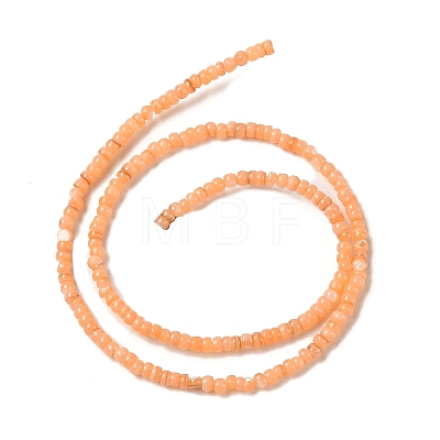 Natural Freshwater Shell Beads Strands SHEL-P017-01B-05-1