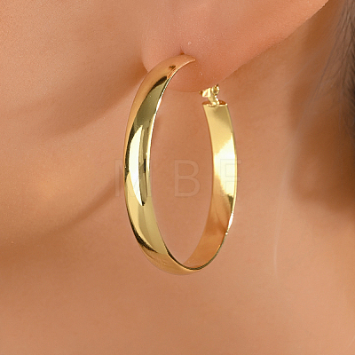 Brass Geometric Hoop Earrings for Women ZE6703-1-1