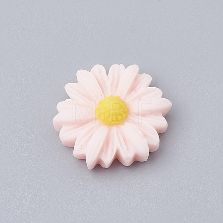 Resin Cabochons CRES-N007-10I-1