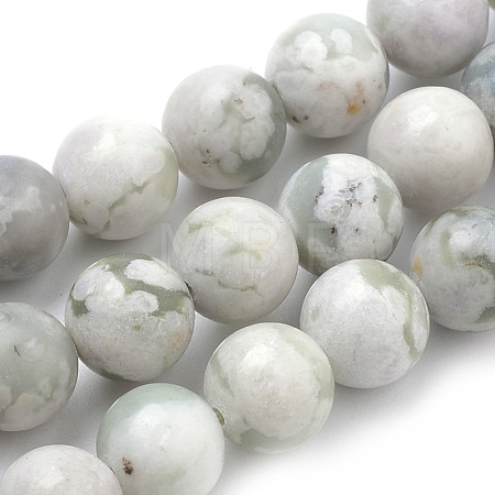 Natural Peace Jade Beads Strands G-S259-25-10mm-1
