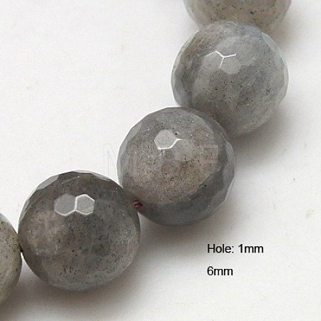 Natural Labradorite Beads Strands G-G213-6mm-03-1