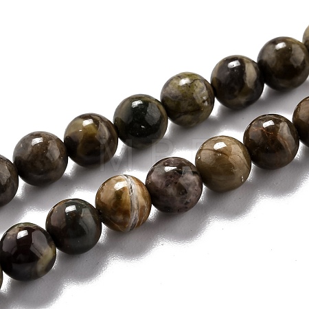 Round Natural Ocean Agate/Ocean Jasper Beads Strands G-L574-02A-1