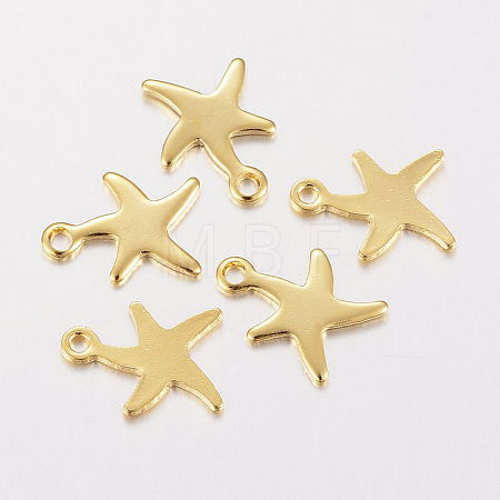 304 Stainless Steel Charms X-STAS-F162-40G-1