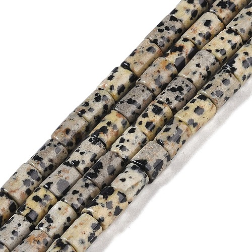 Natural Dalmatian Jasper Beads Strands G-C128-A18-01-1