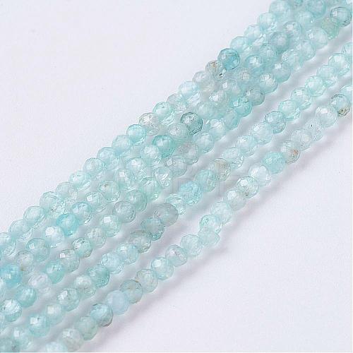 Natural Apatite Beads Strands G-P278-14-2mm-1
