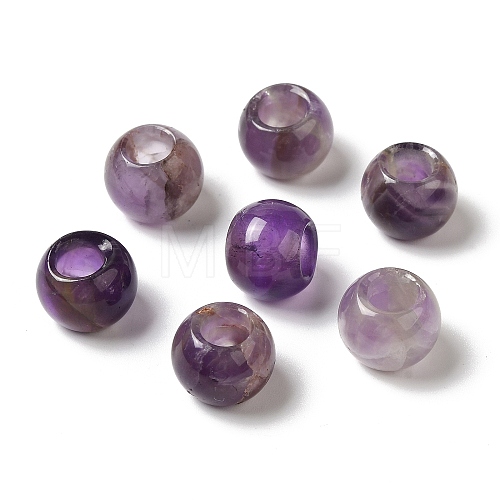 Natural Amethyst Gemstone European Beads G-N342-03M-1