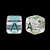 Acrylic European Beads MACR-I042-01A-2