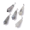 Natural Labradorite Pointed Pendants G-I314-02P-02-1