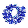 Handmade Lampwork Enamel Beads LAMP-T023-26C-2