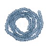 Frosted Transparent Glass Beads Strands GLAA-N016-4mm-29-3