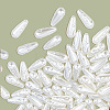 100Pcs ABS Plastic Imitation Pearl Beads OACR-LT0001-06-6