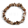 Unisex Chip Natural Picture Jasper Beaded Stretch Bracelets BJEW-S143-29-2