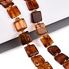 Natural Bloody Amber Beads Strands G-N371-15A-01-1