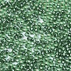 Glass Seed Beads X-SEED-S042-04A-01-3