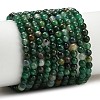 Natural Fuchsite Beads Strands G-L661-B01-4mm-A-2
