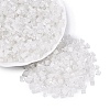 FGB Grade A Frosted Glass Seed Beads SEED-Q040-04A-12-2