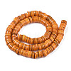 Natural Freshwater Shell Beads Strands BSHE-I016A-01G-2